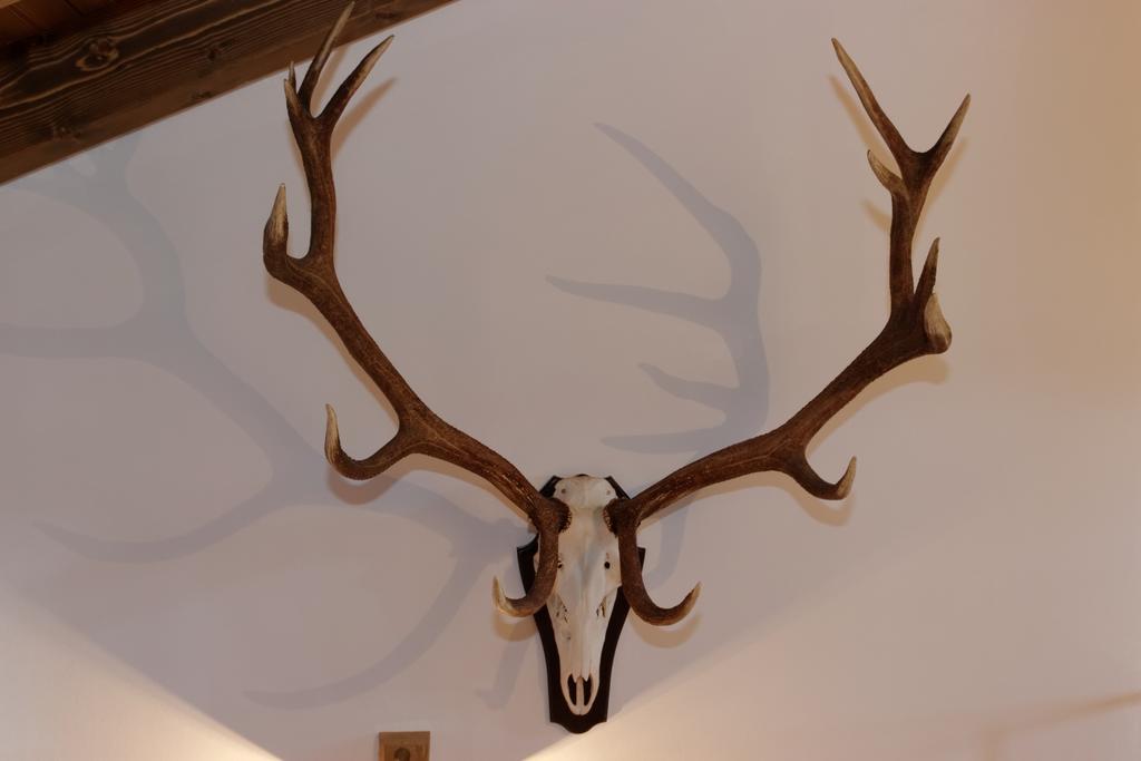 Ferienhaus Hirschkopf Mauth Pokoj fotografie